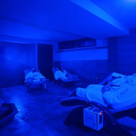 Halex Room&food Nettuno